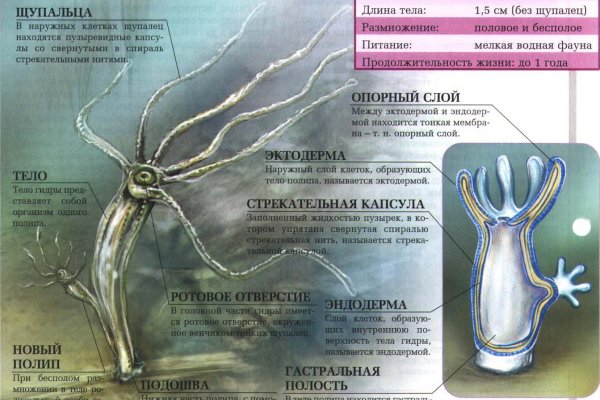 Как восстановить пароль на кракене