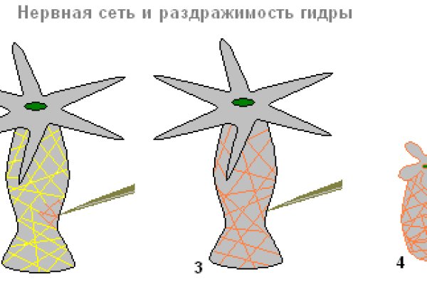 Кракен какой сайт